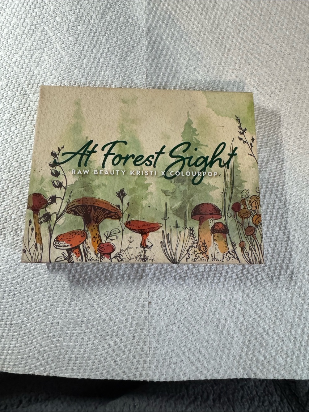 Colourpop At Forest Sight Palette — Green, Brown & Red Artwork